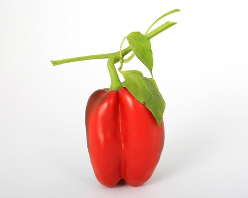 Product 5